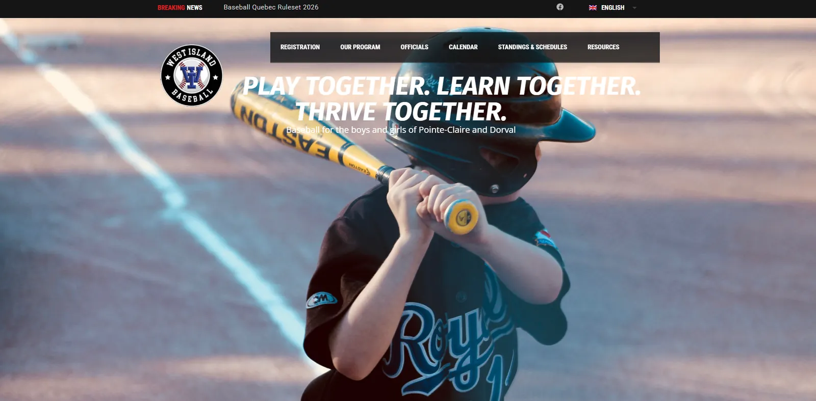 Home page of the baseballwestisland.com website